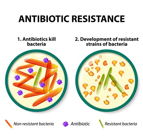 Bacteria Resistance to Antibiotics