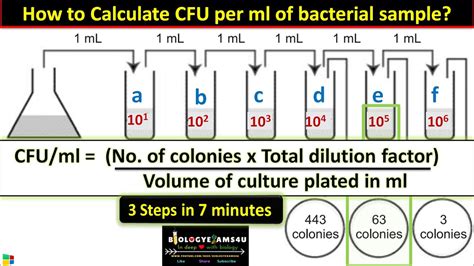 Bacterial CFUs