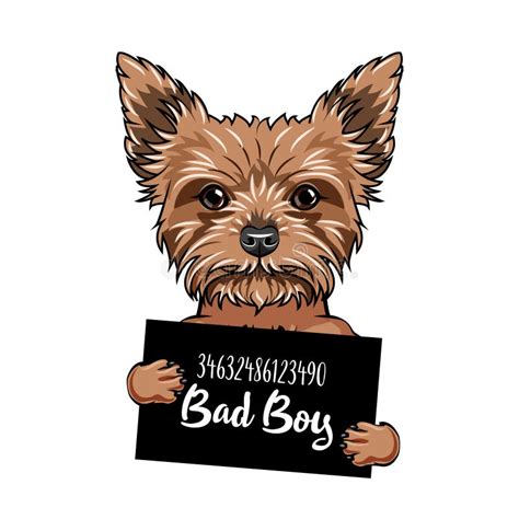 Bad Boy Dog Meme