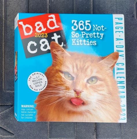 2023 Star Wars The Bad Batch Square Wall Calendar