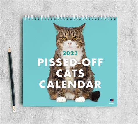 Cat Desk Calendar 5x7 2023 Flexible Dates Animal Shelter Etsy