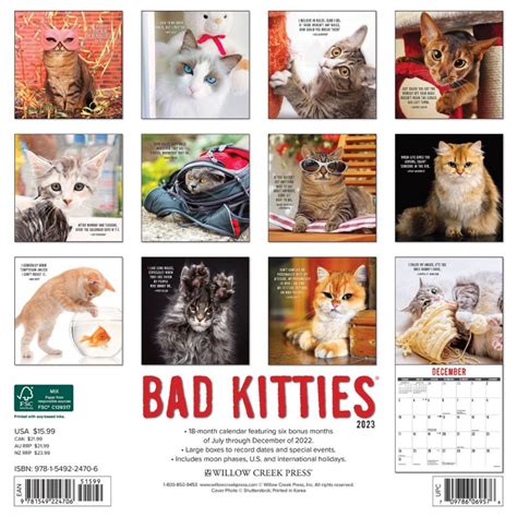 Bad Kitties Calendar 2023 Animal Den