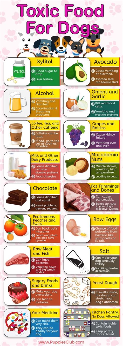 Bad Food For Dogs Chart