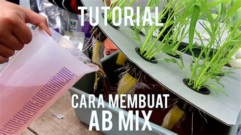Bagaimana Cara Membuat Pupuk AB Mix Hidroponik?