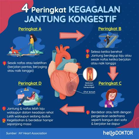 Bagaimana Cara Mencegah Penyakit Gagal Jantung
