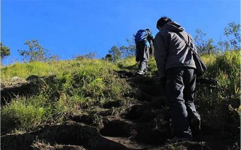 Bagaimana Persiapan Yang Harus Dilakukan Sebelum Melakukan Trekking Ke Mes Tka Gunung Putri?