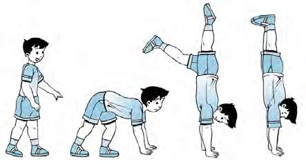 Bagaimana Cara Melakukan Latihan Awal Handstand Dengan Bersandar Pada Tembok