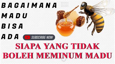 Mengkonsumsi Madu Stamina Wanita