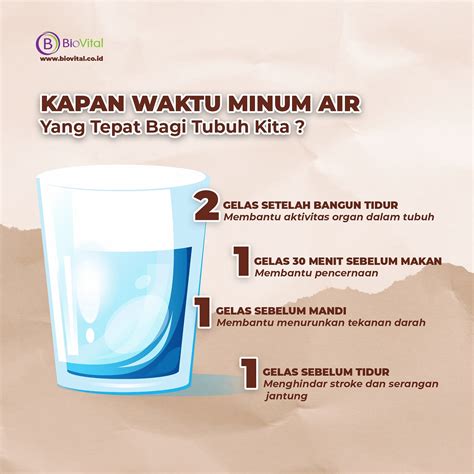 Bagaimanakah Kita Mengatur Porsi Air Putih Dalam Tubuh
