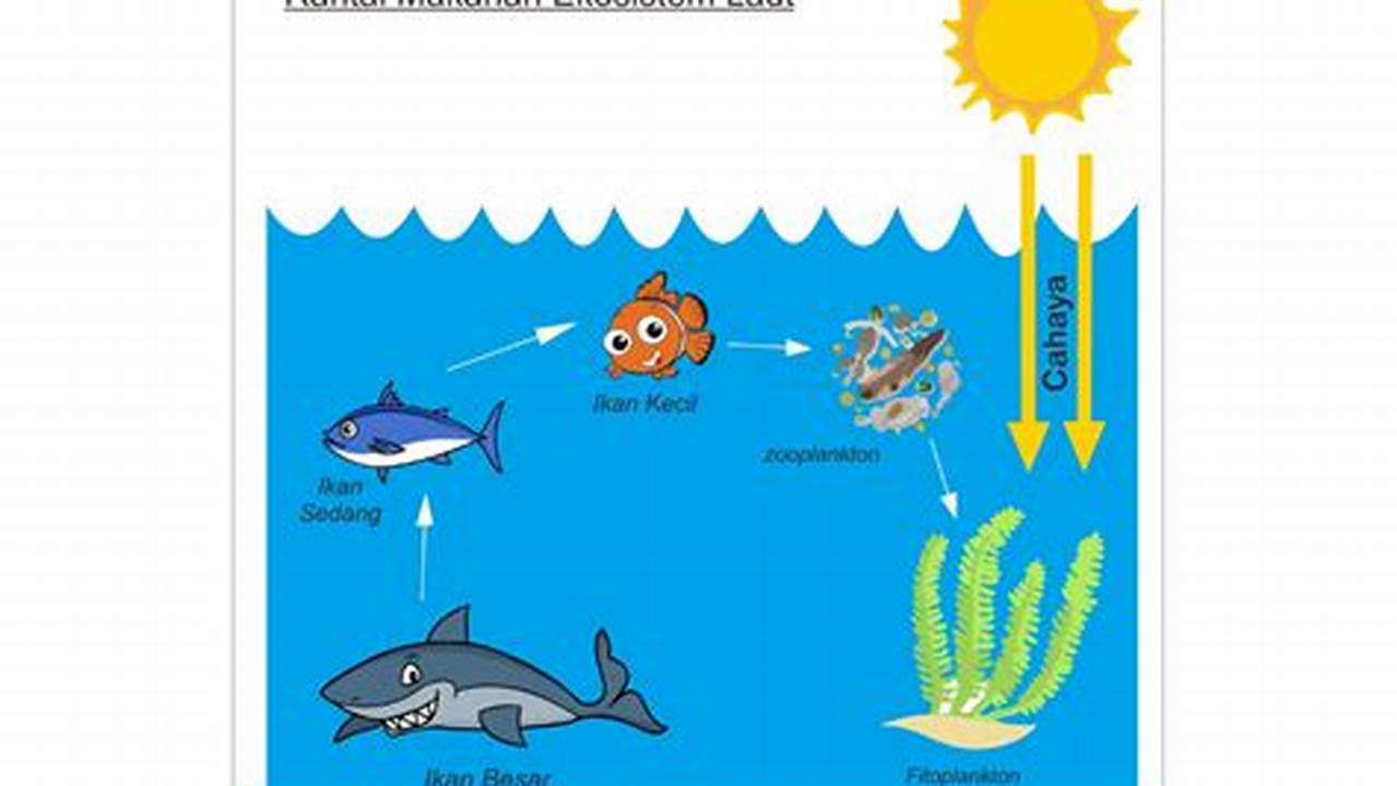 Bagian Dari Ekosistem Laut, Resep8-10k