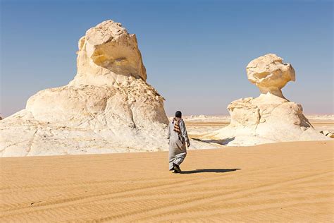 Bahariya Oasis