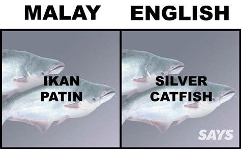 Bahasa Inggris Ikan Tuna