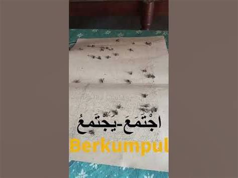 Bahasa Arab Berkumpul