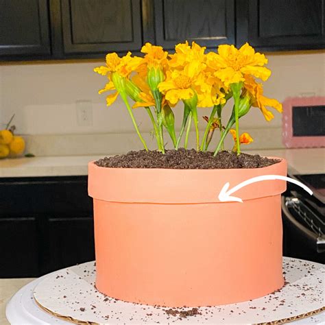 Baking the Perfect Flower Pot Cake