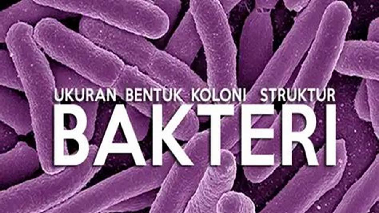 Bakteri, Resep6-10k