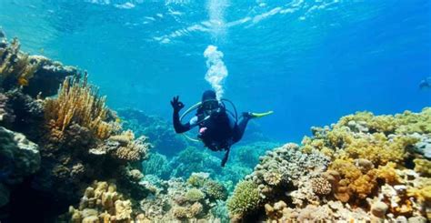 Baku Scuba for Beginners: Detailed Review & Recommendations