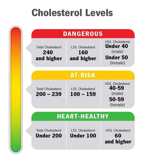 Balance and Long-Term Maintenance of Cholesterol Levels