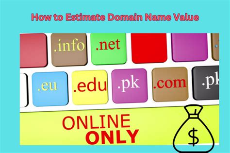 Balancing Cost and Value in Domain Name Purchase