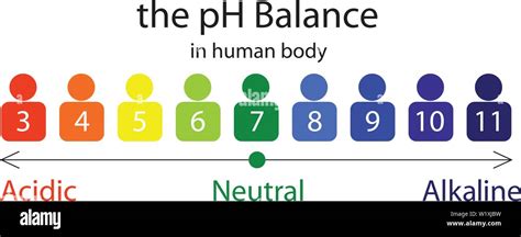 Balancing pH Body