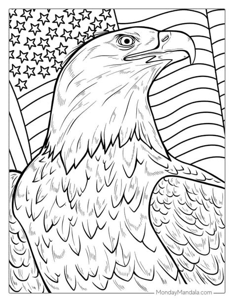 Bald Eagle Color Page