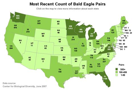 Bald eagle Facts Sheet Bald eagle, Eagle facts, Animal facts