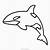 Baleia Orca no Oceano para colorir imprimir e desenhar