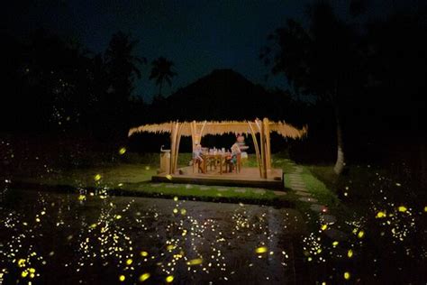 Bali Firefly Tour Review: Authentic Culture & Magical Nights