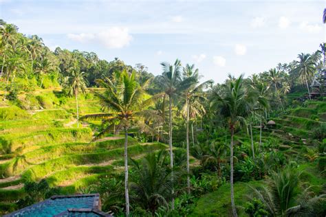 Bali Responsible Travel