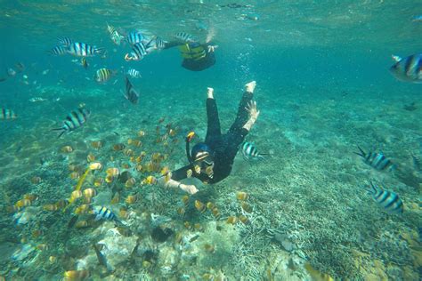 Bali Snorkeling Tour Operator