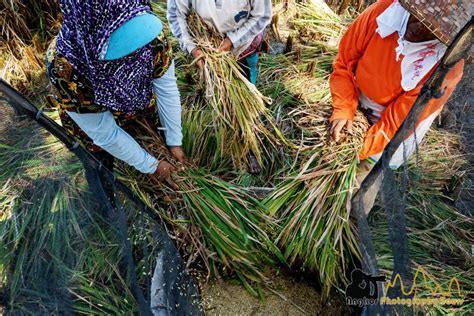 Traditional Balinese farming tools laid out, ready for use
