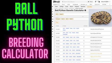 Ball Python Calculator