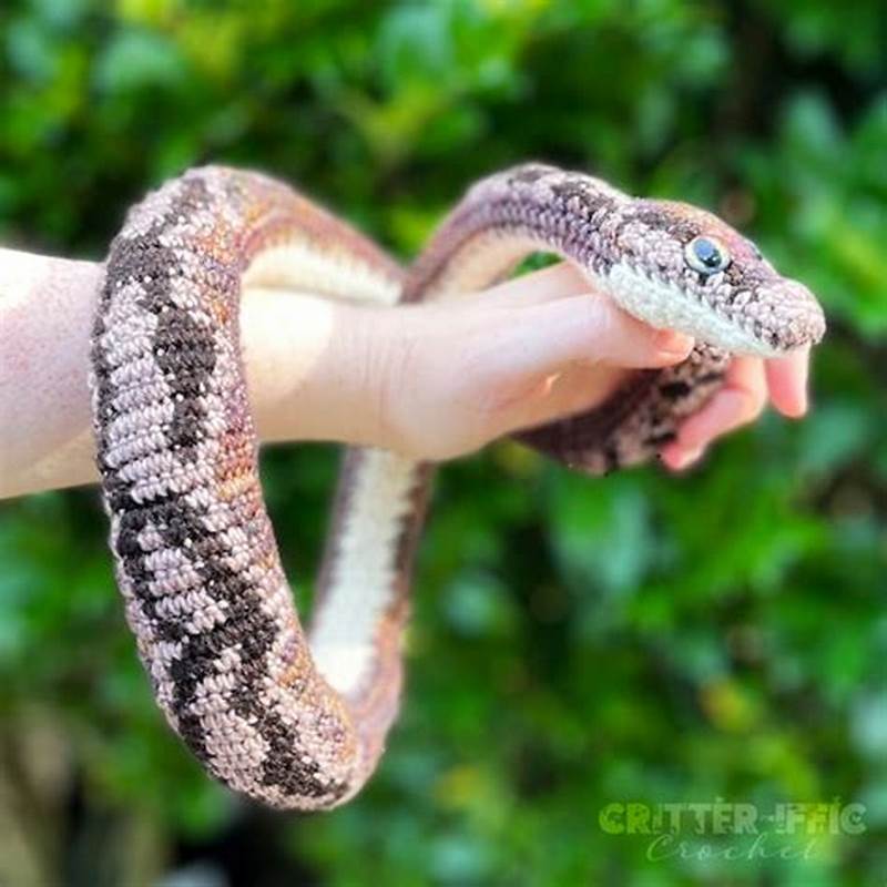 Ball Python Crochet Pattern Free