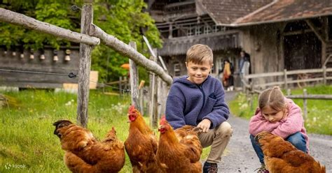 Ballenberg Ticket Purchase