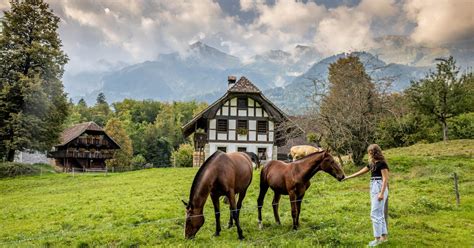 Ballenberg Visit Planning