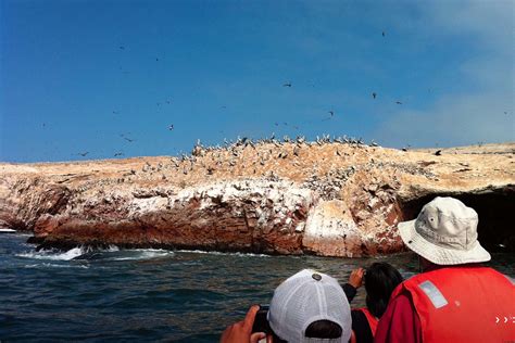 Ballestas Islands Tour Guide