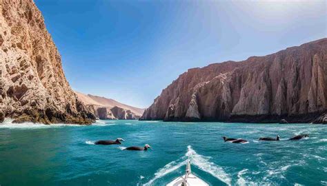 Ballestas Islands Travel Tips