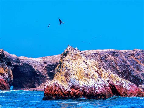 Ballestas Islands tour operator