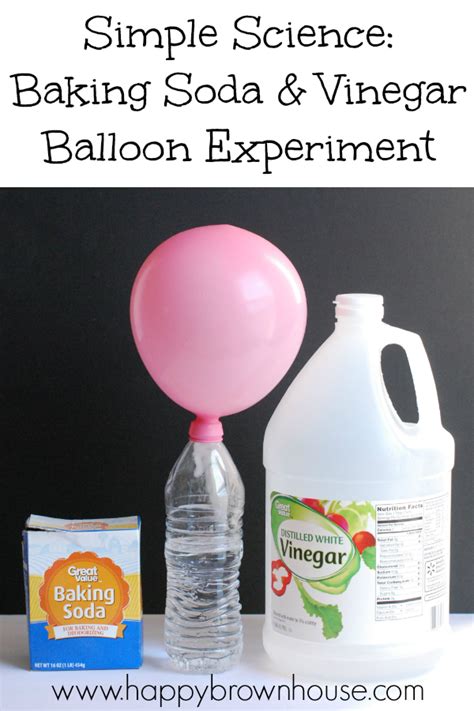 Balloon Vinegar And Baking Soda Experiment Worksheet