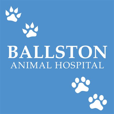 Top-Quality Pet Care Services at Ballston Animal Hospital in Arlington, VA