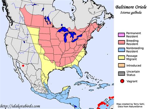 Migration range of the Baltimore Oriole MapPorn