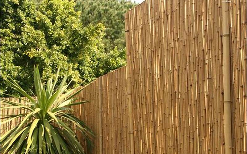 Bamboo For Fence Privacy: Create Your Own Private Oasis