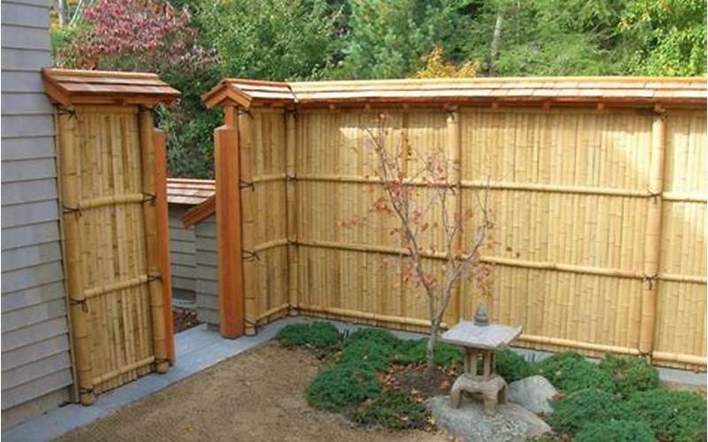 Bamboo Privacy Fence Ideas