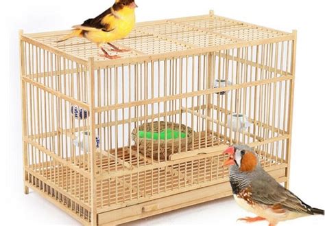 Bamboo Bird Cages