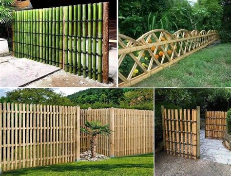 Bamboo Fence