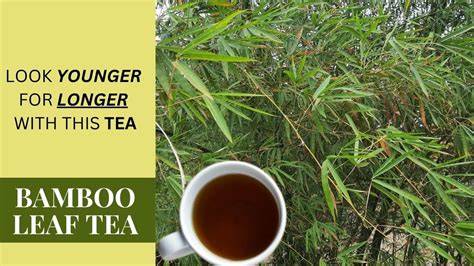 Bamboo Leaves Tea