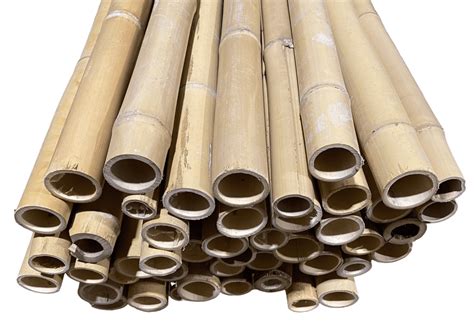 Bamboo Poles