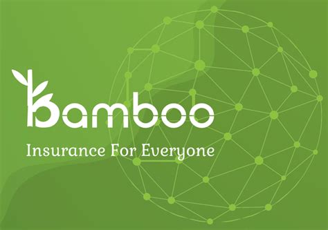 Bamboo Insurance for Everyone! LinkedIn
