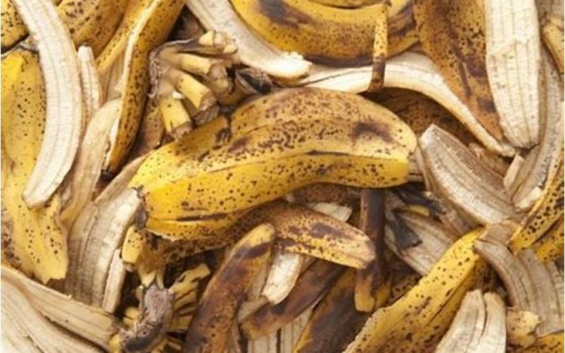 Banana Waste Being Used As Energy