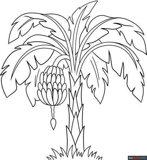 Banana Tree Coloring Pages