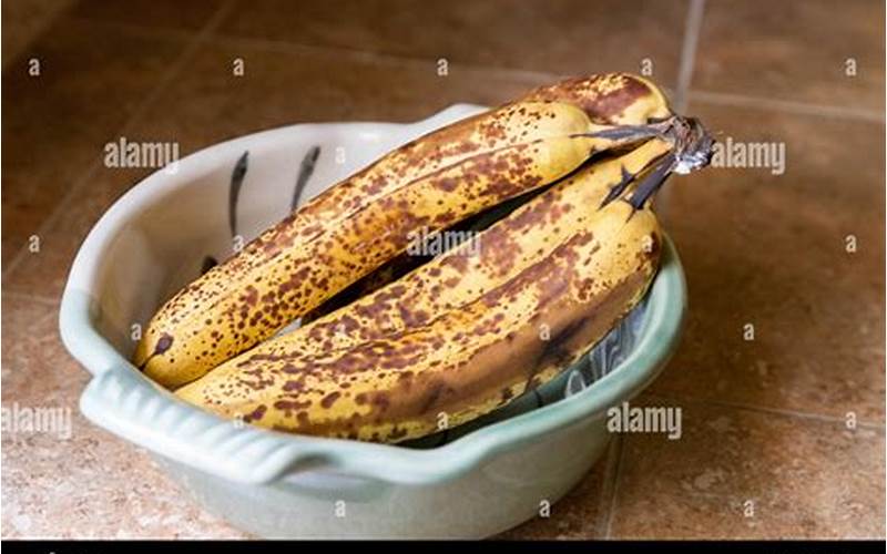 Bananas On Counter